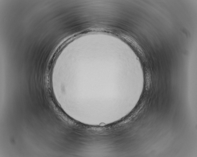 X0000110320976200907021158