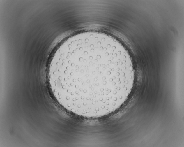 X0000110320978200907021158