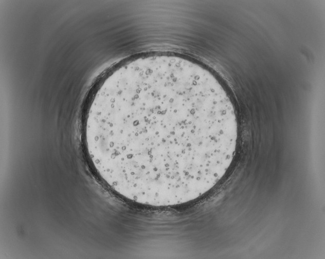 X0000110320979200907021158