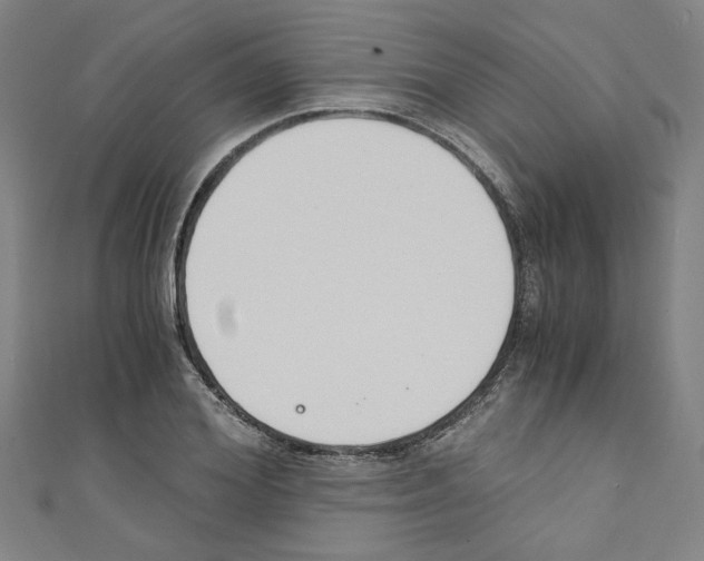 X0000110320980200907021158