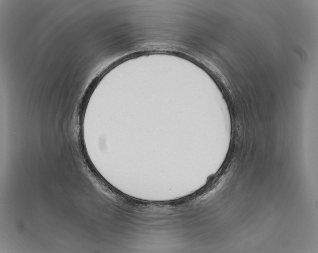 X0000110320981200907021158