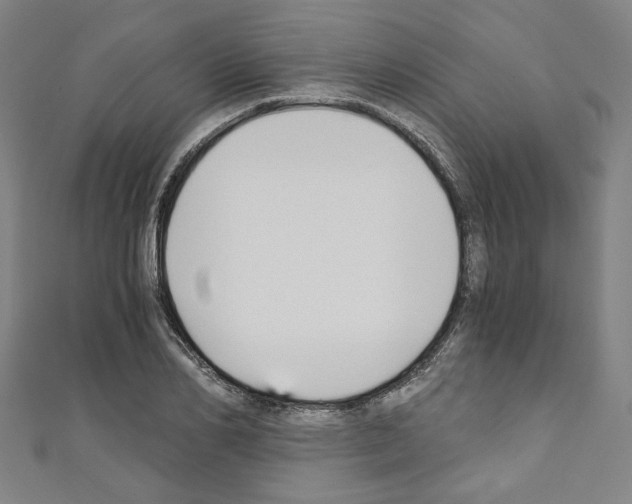 X0000110320982200907021158