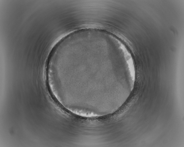 X0000110320983200907021158