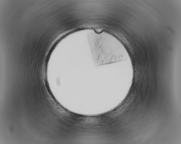 X0000110320984200907021158