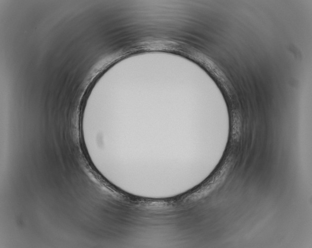 X0000110320986200907021158