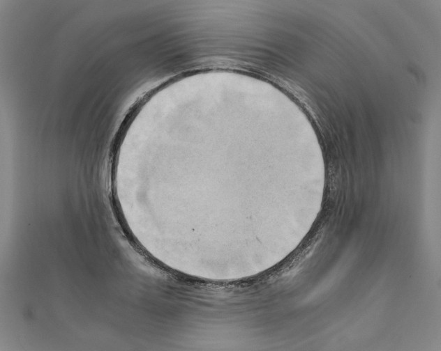 X0000110320987200907021158