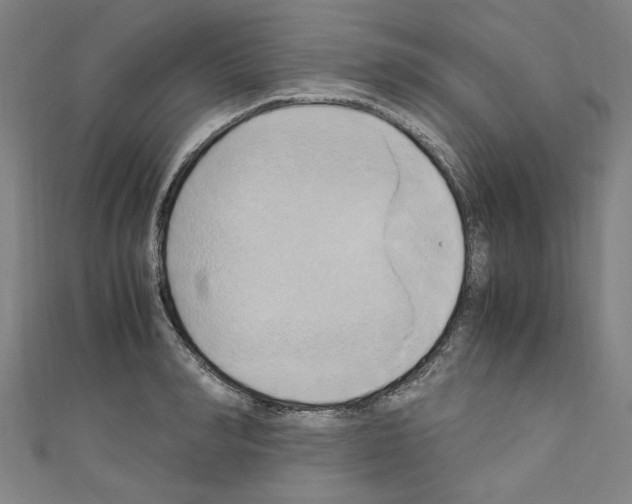 X0000110320990200907021158