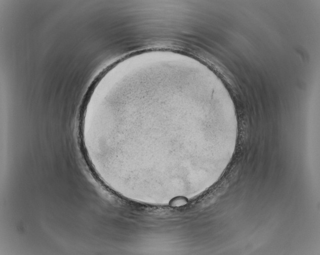 X0000110320991200907021158