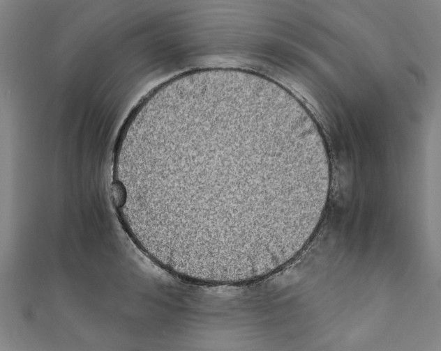 X0000110320992200907021158