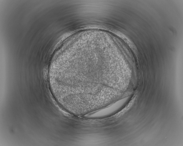 X0000110320993200907021157