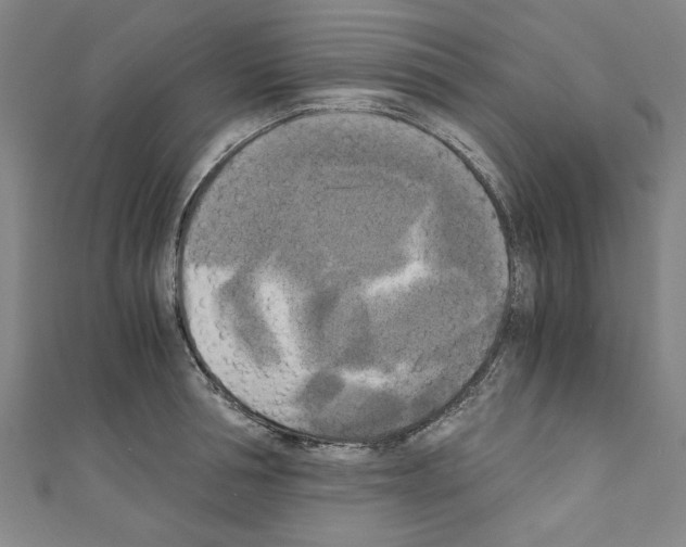 X0000110320994200907021157