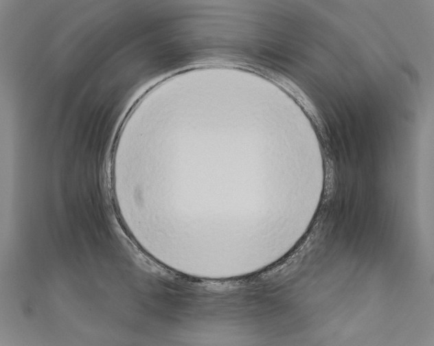 X0000110320996200907021157