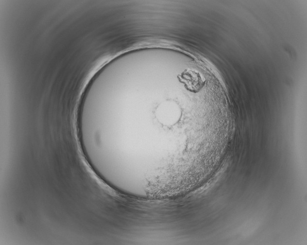 X0000110320997200907021157