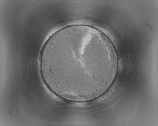 X0000110320998200907021157