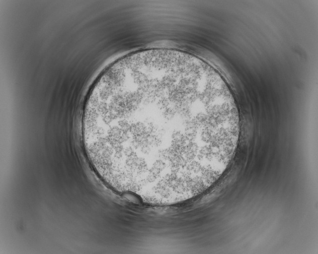 X0000110321000200907021157