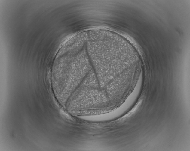 X0000110321001200907021157