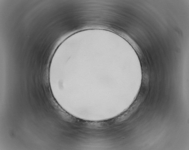 X0000110321004200907021157