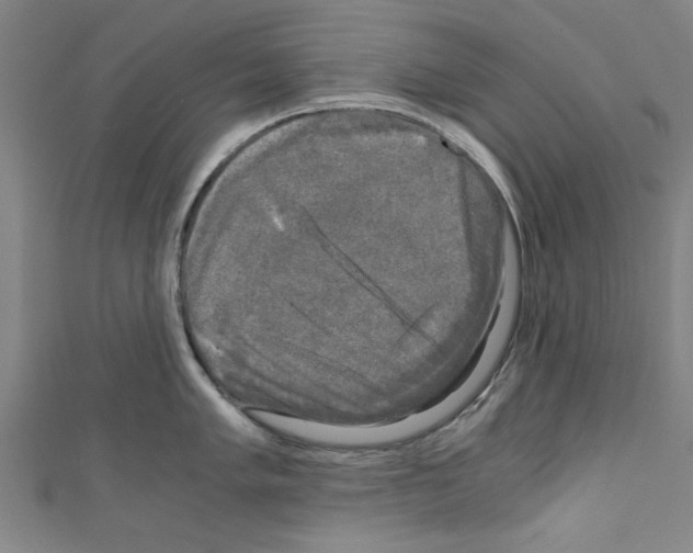 X0000110321005200907021157