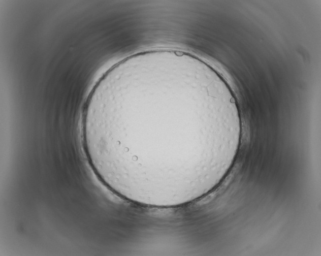 X0000110321006200907021157