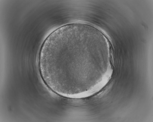 X0000110321007200907021157