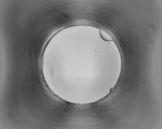 X0000110321008200907021157