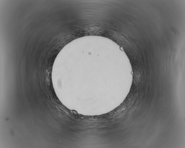 X0000110321010200907021157