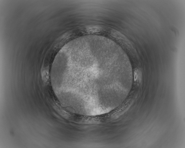 X0000110321011200907021157