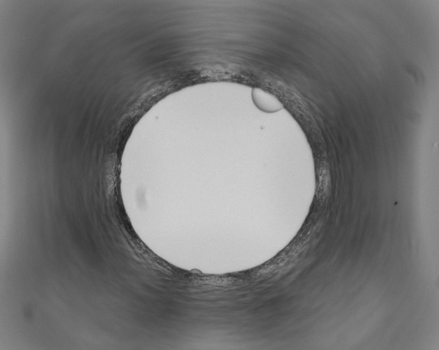 X0000110321012200907021157