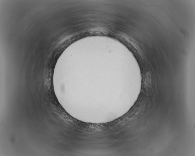 X0000110321015200907021157