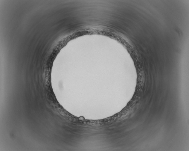 X0000110321016200907021157