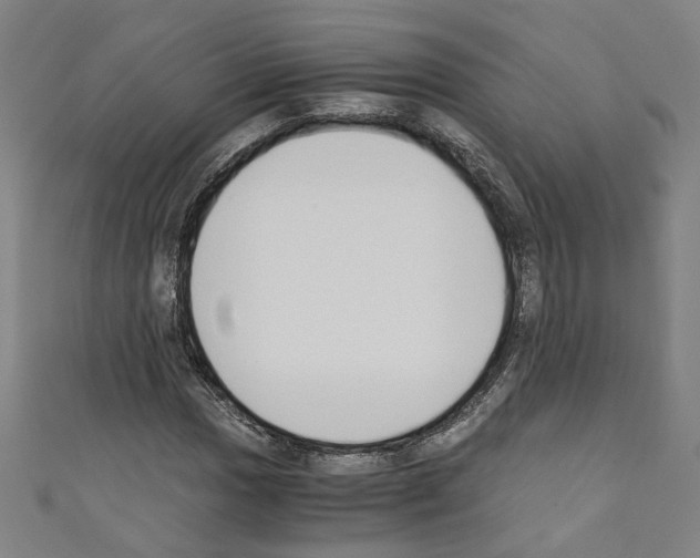 X0000110321017200907021157