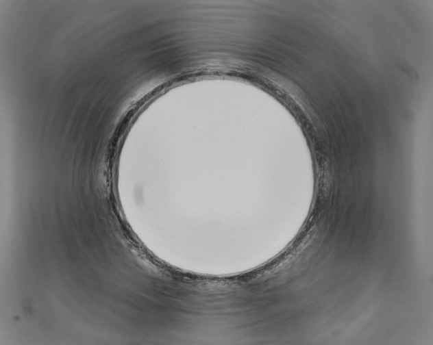 X0000110321018200907021157