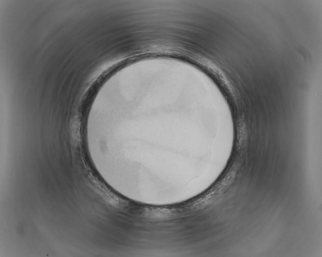 X0000110321019200907021157