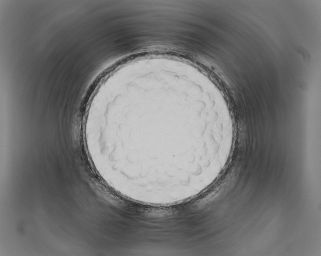 X0000110321021200907021157