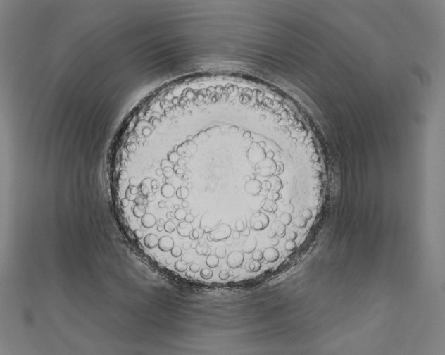 X0000110321022200907021157