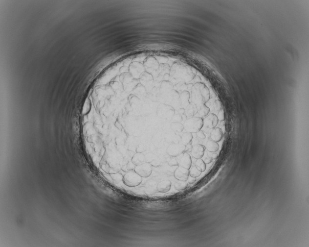 X0000110321025200907021157