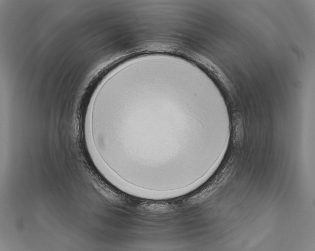 X0000110321027200907021157