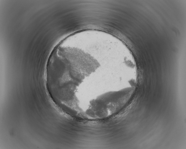 X0000110321028200907021157