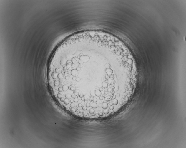 X0000110321030200907021157