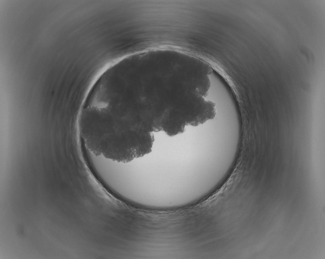 X0000110321032200907021157