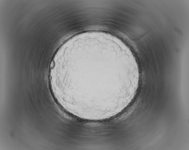 X0000110321033200907021157