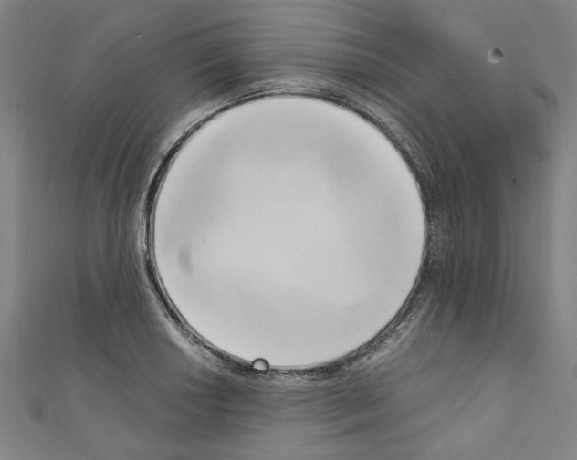 X0000110321034200907021157