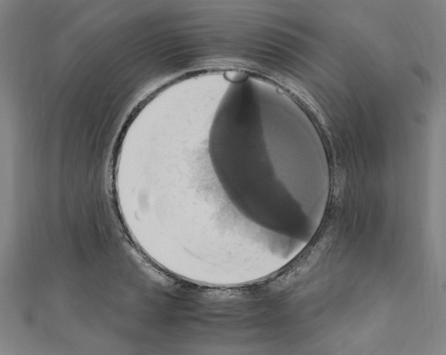 X0000110321037200907021157