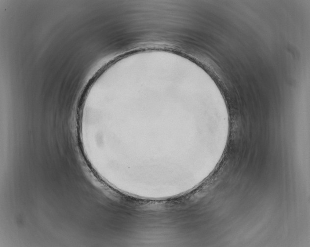 X0000110321038200907021157