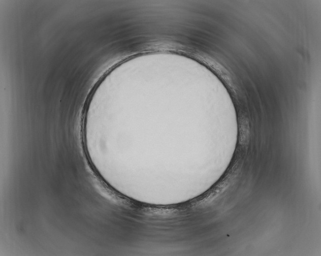 X0000110321039200907021157