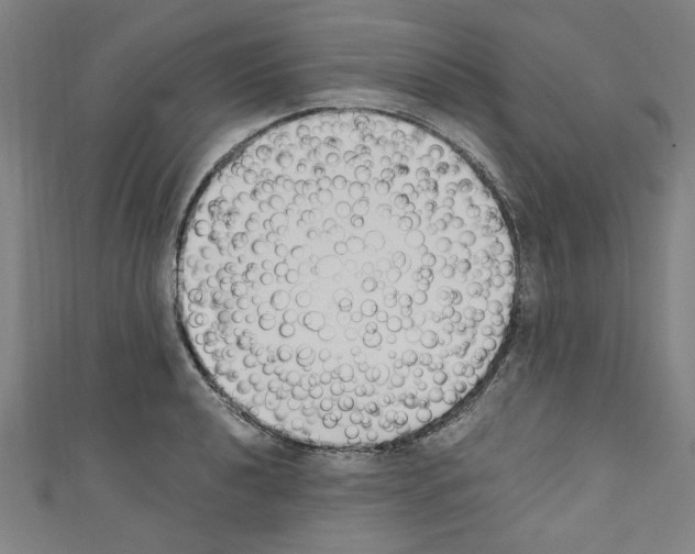 X0000110321040200907021157