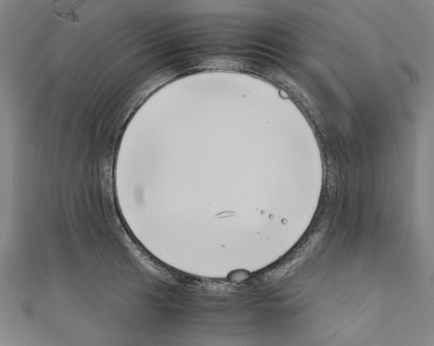 X0000110321041200907021157