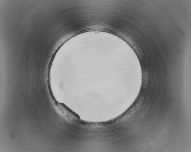 X0000110321042200907021157