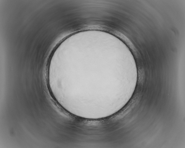 X0000110321043200907021157