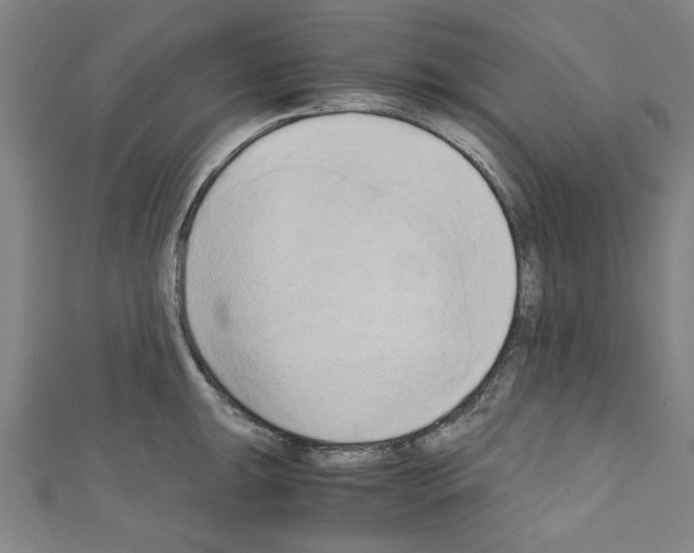 X0000110321047200907021157